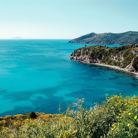 Golfo Della Lacona-3 By Interhome Appartamento *